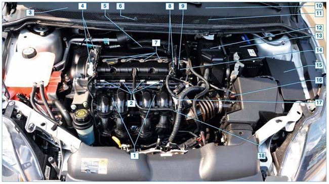 Оценка реального ресурса двигателя на Форд Фокус с объемом 1.4, 1.5, 1.6, 1.8, 2.0 литра.